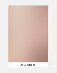 Petal Haze 14 - Sample Swatch