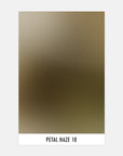Petal Haze 10 - Sample Swatch