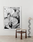 Orchid Study 1 - B&W