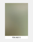 Petal Haze 12 - Sample Swatch