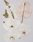 ~ CREAM UNDERTONES ~ 45cm x 62cm