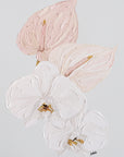BRIDGERTON ~ 45cm x 62cm ~ Original