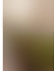 Petal Haze 11