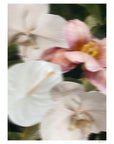 Just Bloom