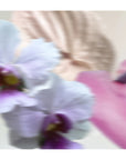 Lavender Haze