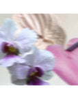 Lavender Haze