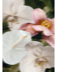 Just Bloom