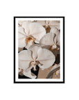 Orchid Study 1 - Caramel