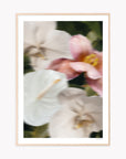 Just Bloom