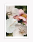 Just Bloom