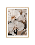Orchid Study 1 - Caramel