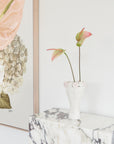 ~ MAGNOLIA ~