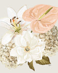 ~ MAGNOLIA ~