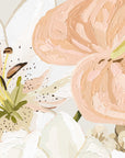~ MAGNOLIA ~