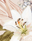 ~ LILY ~
