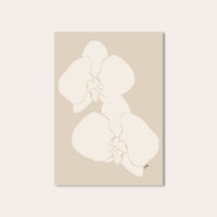Orchids ~ Digital Download