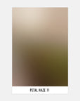 Petal Haze 11 - Sample Swatch