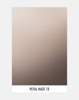 Petal Haze 13 - Sample Swatch