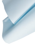 Baby Blue Matte 02 - Large