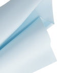 Baby Blue Matte 02 - Large