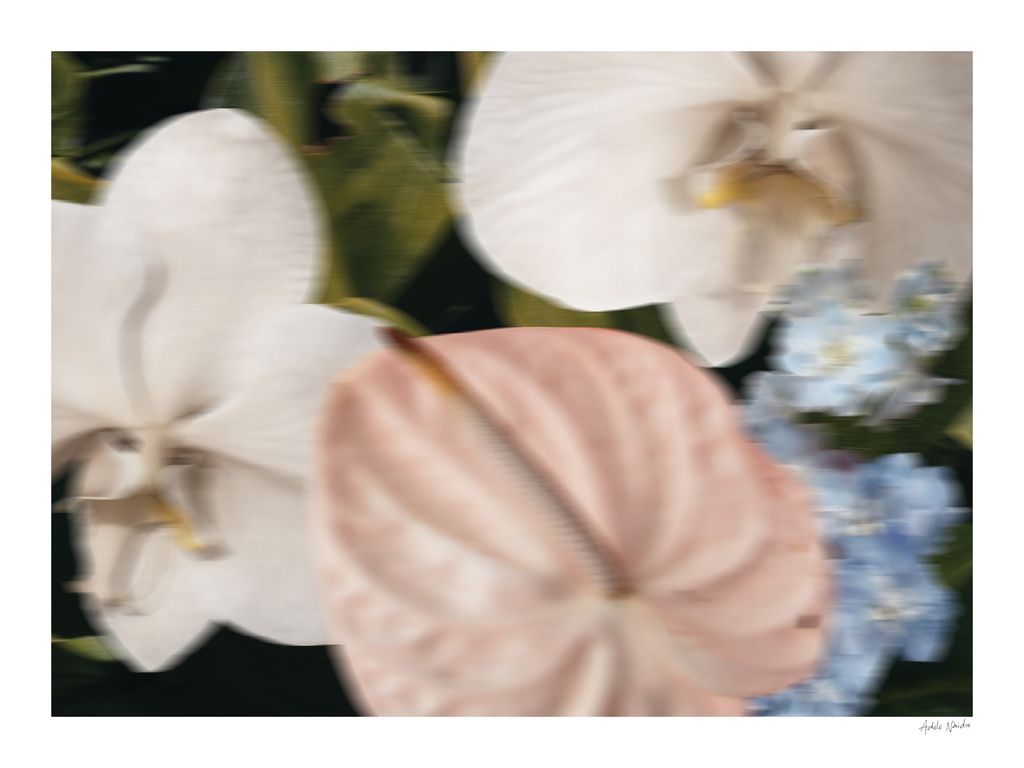 Night Garden