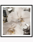 Celestial Bloom