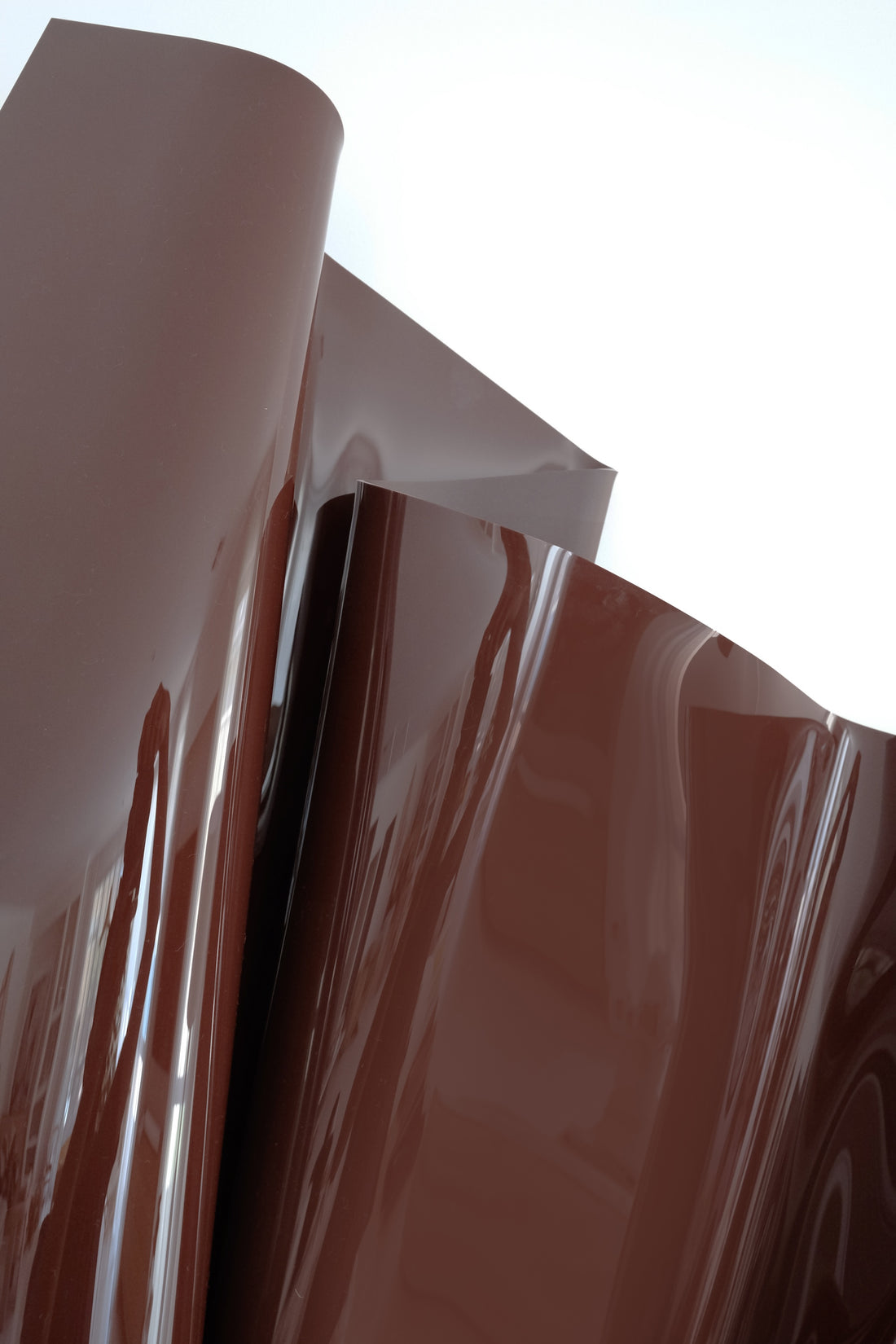 Chocolate Burgandy 02