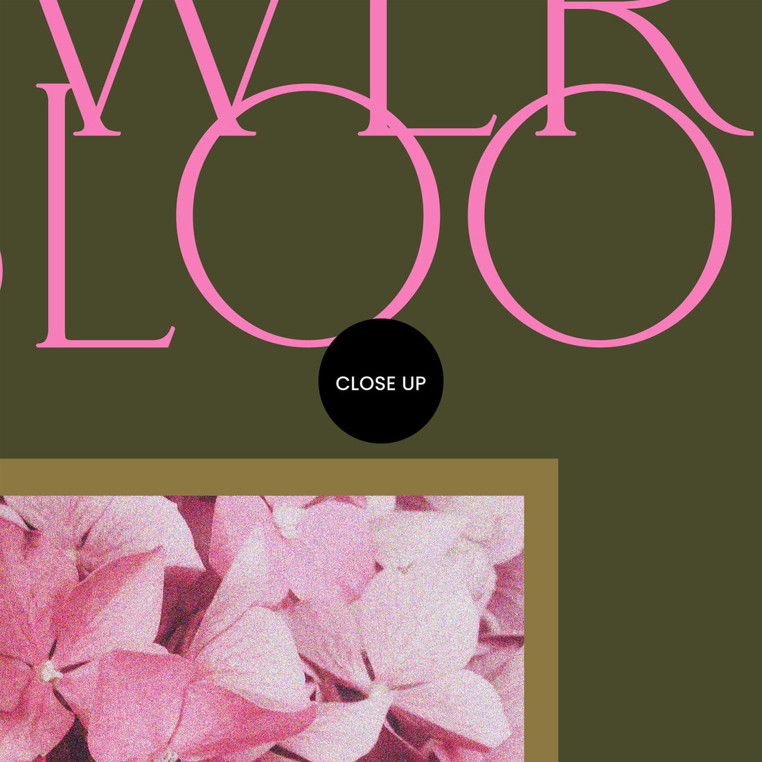 Flowers in Bloom ~ Digital Download