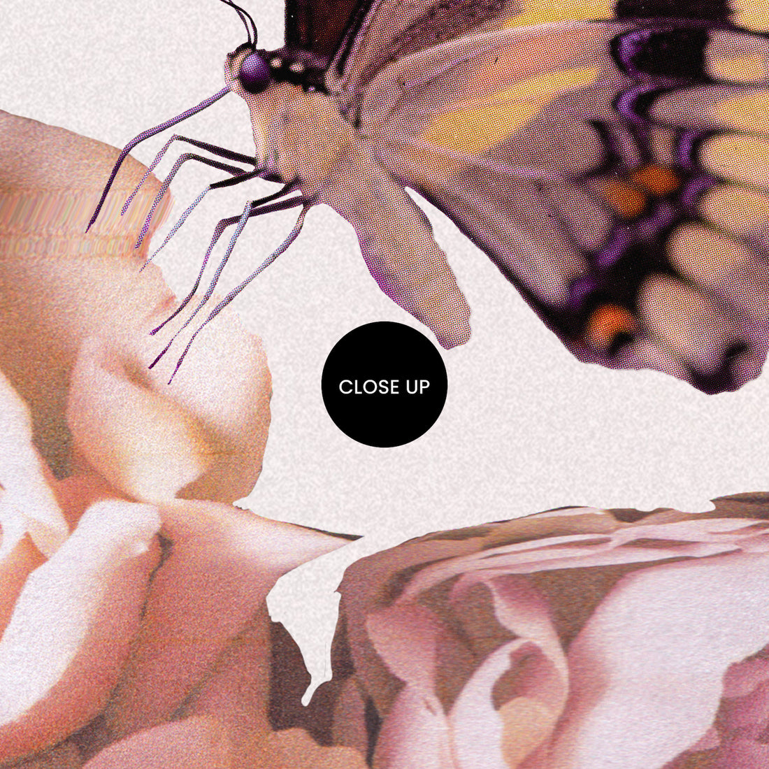Fly Away With Me ~ Digital Download