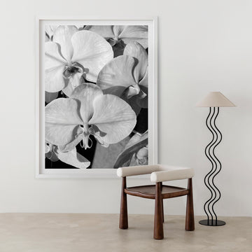 Orchid Study 1 - B&W