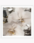 Celestial Bloom